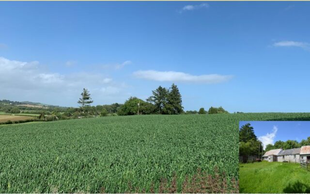 Clologue Upper, Camolin, Co. Wexford – Auction Report