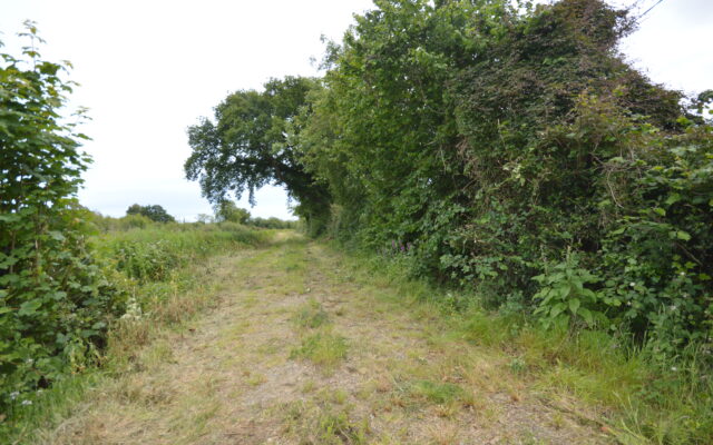 Scarnagh, Inch, Gorey, Co. Wexford – Auction Report