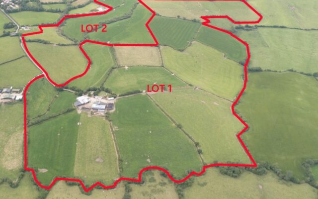 Knockadawk & Ballyart, Kilmuckridge, Gorey, Co. Wexford – Auction Report