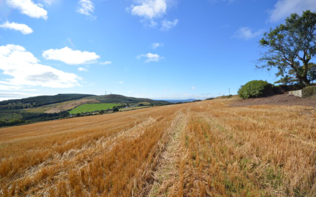 ’29 acre Wicklow farm with stunning views over coastline to go under the hammer on Friday’. Wicklow People. 23/09/22.