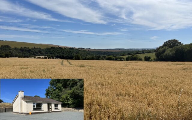 Knockanree, Avoca, Co. Wicklow – Auction Report