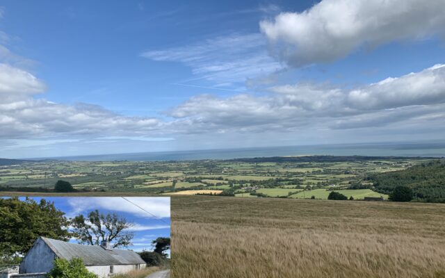 Barniskey, Ballinvalley, Avoca, Co. Wicklow – Auction Report