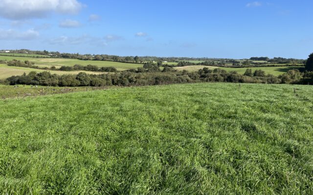 Garryvadden, Oulart, Co. Wexford – Auction Report