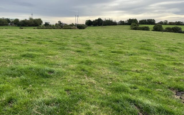 ’57-acre Wexford farm expecting €10,000 to €12,000 an acre at auction’. Irish Examiner. 26/10/22.