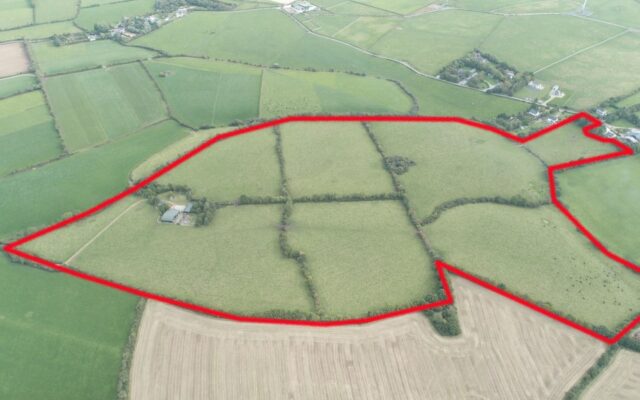 Peppardscastle, Ballygarrett, Gorey, Co. Wexford – Auction Report