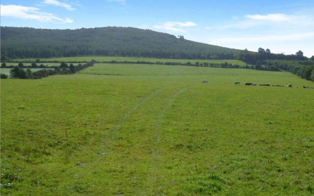 ‘Three Wexford farms for auction’. Irish Farmers Journal. 23/11/22.