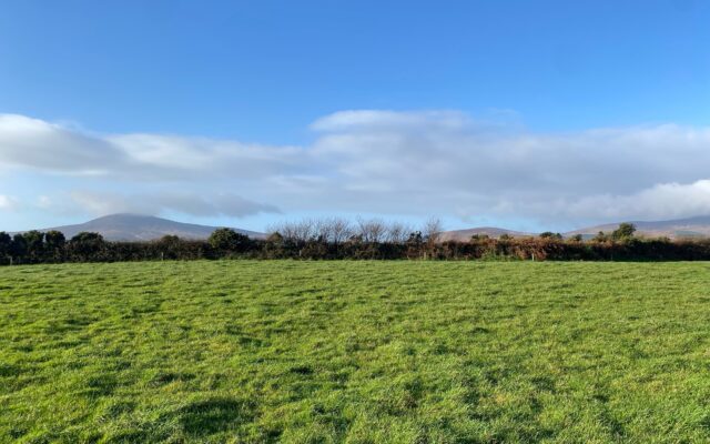 ‘Pair of small holdings for sale in Co Wexford’. Irish Farmers Journal. 26/01/23.