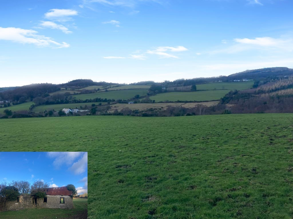 Knockanree Upper, Avoca, Co Wicklow Auction Report Quinn Property