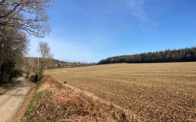 ‘Wexford parcel sells for €27,000 per acre as strong farmland sales continue’. Irish Farmers Journal. 30/03/23.