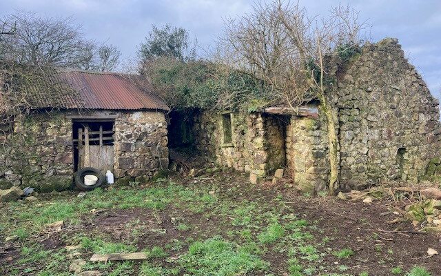‘Wexford property with derelict buildings to go under the hammer in online auction’. Enniscorthy Guardian. 04/03/23.