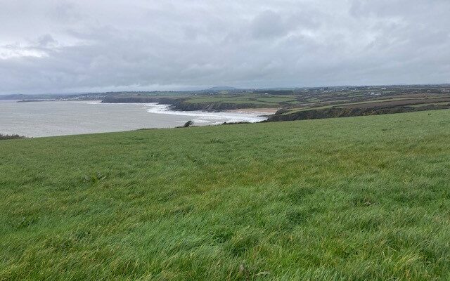 Three fields for sale at Dollar Bay in Wexford. Irish Farmers Journal. 12/04/23.