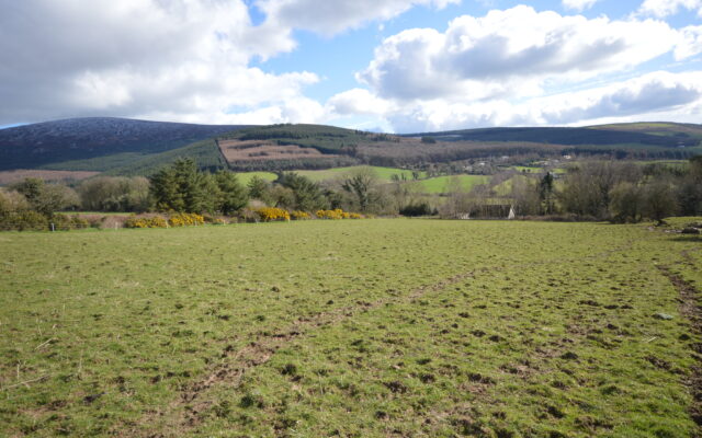 ’49-acre Wicklow farm fetches €13,000/ac at auction’. Wicklow People. 25/04/23.
