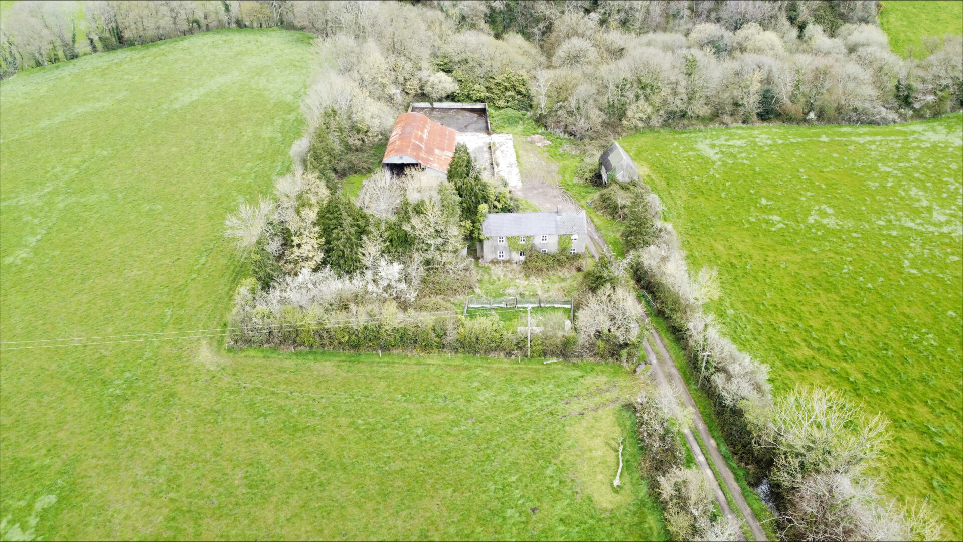 '46acre Wexford farm fetches almost €26k/acre at auction'. Irish