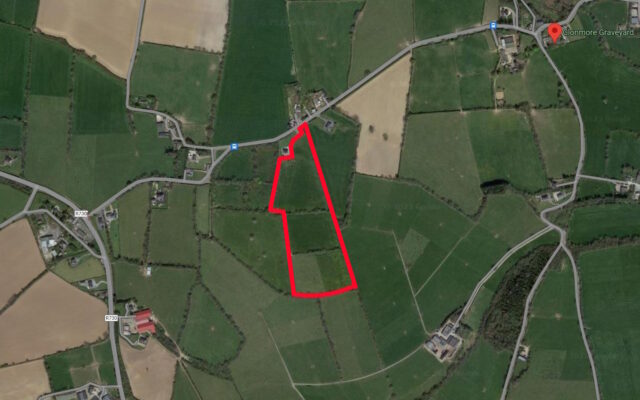 Sparrowsland, Bree, Enniscorthy, Co. Wexford – Auction Report