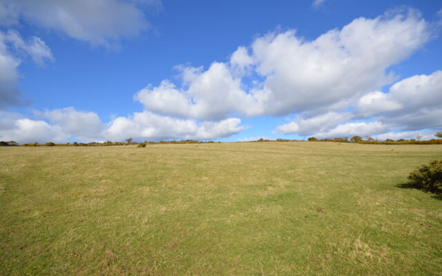 ‘€13,000/ac paid for farm in Wicklow’. Irish Farmers Journal. 20/04/23.