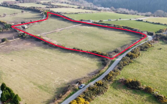 Highland View Lodge, Killegar, Enniskerry, Co. Wicklow – Auction Report