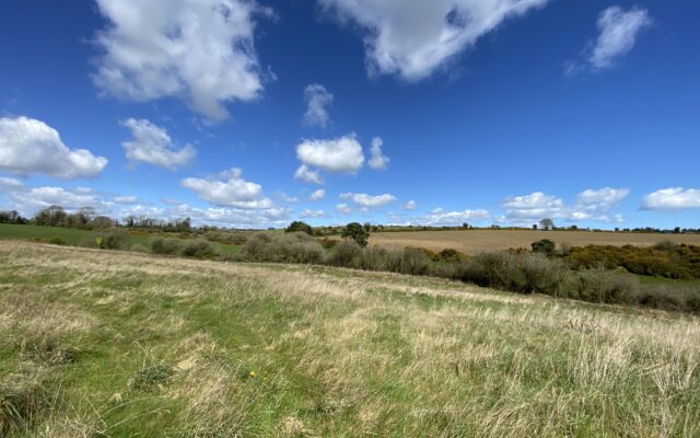 Garrydaniel, Monamolin, Gorey, Co. Wexford – Auction Report