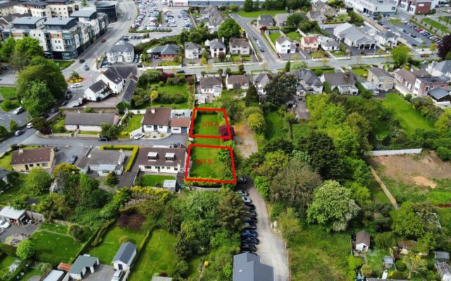 Avenue Close, Gorey, Co Wexford – Auction Report