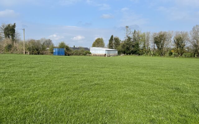 Rathnagrew, Hacketstown, Co. Carlow – Auction Report