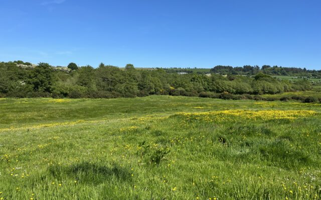 Ticknock, Oulart, Gorey, Co. Wexford – Auction Report