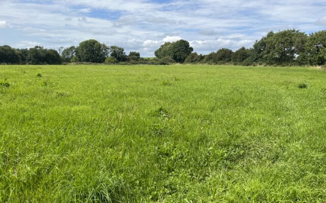 Ballinkillen, Bagenalstown, Co. Carlow – Auction Report