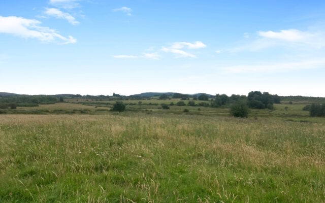 Kilcarney Upper & Knocknagilky Lower, Rathdangan, Co. Wicklow – Auction Report