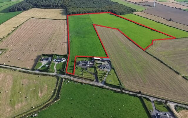 Bolinrush, Bunclody, Co. Wexford – Auction Report