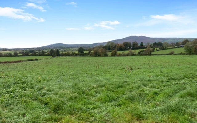 ’16-acre west Wicklow property to be sold at online auction’. Wicklow People. 16/11/23.