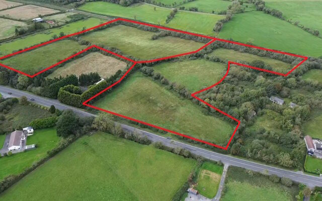 ‘Two holdings for sale in the Southeast at very different guide prices’. Irish Farmers Journal. 19/10/23.