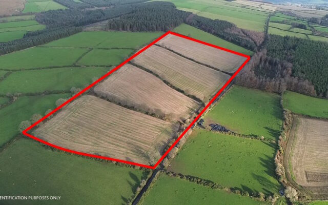 Tinnakilly, Aughrim, Co. Wicklow – Auction Report