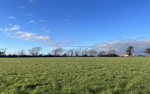 ‘Close to Rosslare Europort, this holding is suitable for all enterprises’. Irish Farmers Journal. 31/01/24.