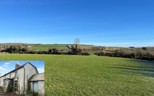 Monbeg, Enniscorthy, Co. Wexford – Auction Report