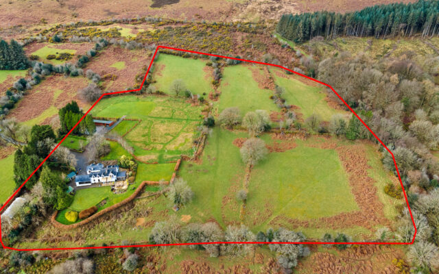 ‘On the market: your guide to detached country house with stables’. Business Post. 20/03/24.