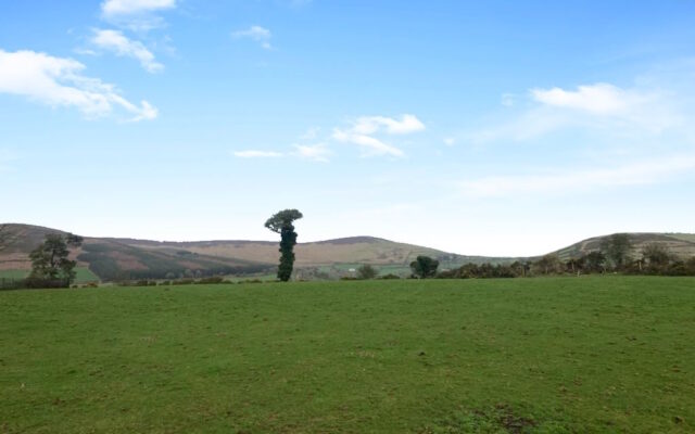 ‘Valuable Wicklow site near picturesque village to go under the hammer’. 04/03/24.