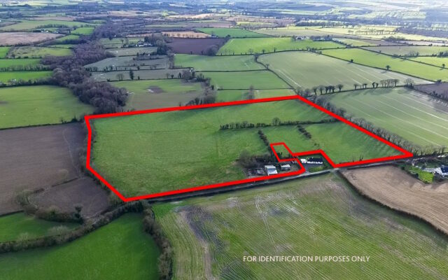 Ballyboy, Ferns, Co. Wexford – Auction Report