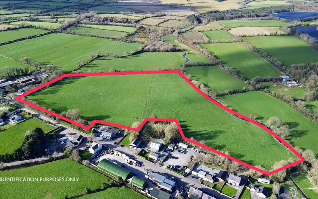 Foulksmills, Co. Wexford – Auction Report
