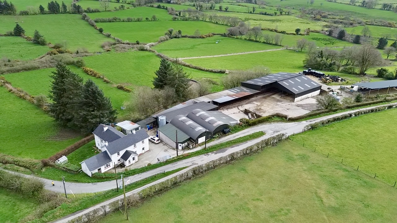 '160acre Wicklow dairy farm with rich family history to be sold at