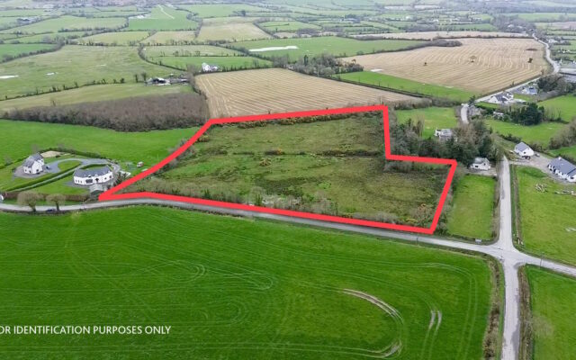 Ballyoughter, Gorey, Co. Wexford – Auction Report