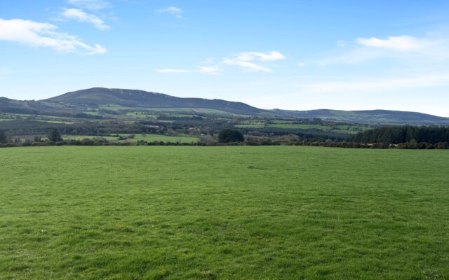 ‘€10,000 per acre expected for 68-acre Wicklow farm in online auction’. Wicklow People. 18/04/24.