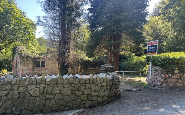 ‘Dots Cottage’, The Meetings, Avoca, Co. Wicklow – Auction Report