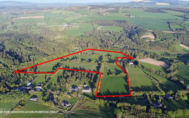 Kingston, Rathdrum, Co. Wicklow – Auction Report