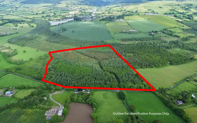Rosnastraw, Tinahely, Co. Wicklow – Auction Report