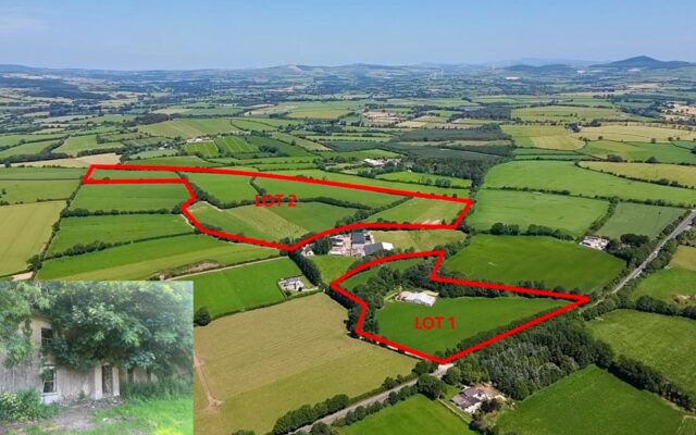 Scarawalsh, Ferns, Co. Wexford – Auction Report