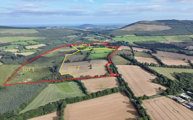 Ballyrory, Gorey, Co. Wexford – Auction Report