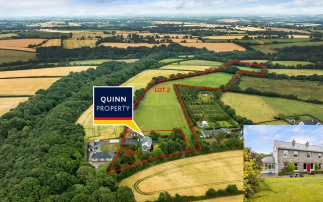 Monglass, Caim, Enniscorthy, Co. Wexford – Auction Report