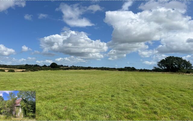 Killisk, The Ballagh, Co. Wexford – Auction Report