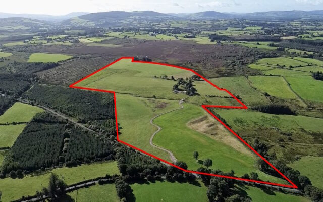 Kilcarney, Hacketstown, Co. Carlow – Auction Report