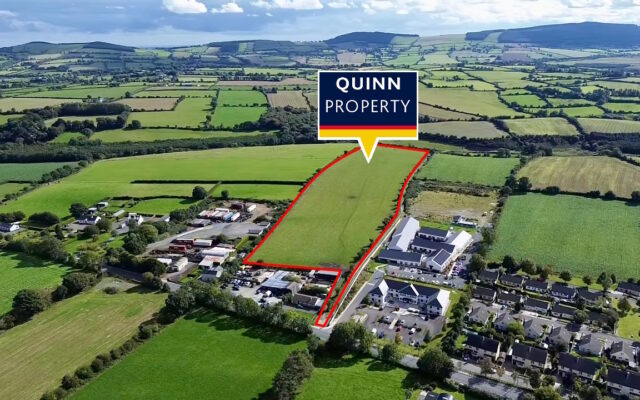 Gorey Road, Carnew, Co. Wicklow – Auction Report