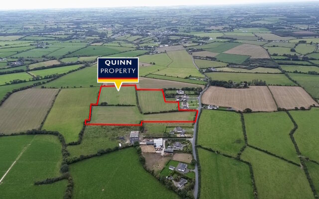 Askinamoe, Ferns, Enniscorthy, Co. Wexford- Auction Report