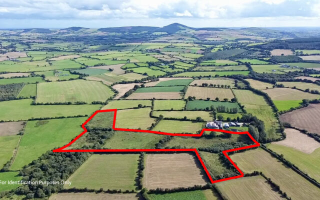 Ballingate Lower, Carnew, Co. Wicklow – Auction Report